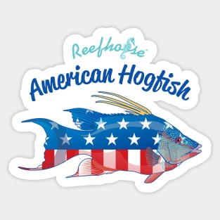 American Hogfish Sticker